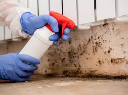 Best Air Quality Testing for Mold Spores  in Castlewood, VA